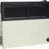 Ashley Hearth DVAG17L Review - 17,000 BTU Propane Heater Analysis