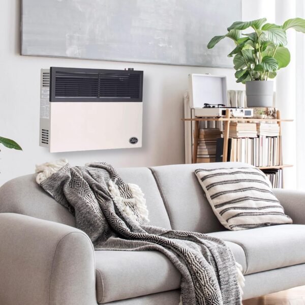 Ashley Hearth DVAG17L Review - 17,000 BTU Propane Heater Analysis