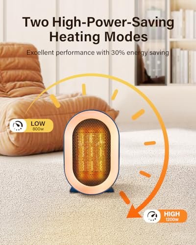 Uncover the FANSEXPERT Space Heater Review: Is It Worth Your Investment?