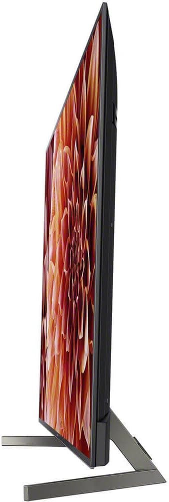 Sony XBR65X900F 4K Ultra HD Smart LED TV review with Alexa features