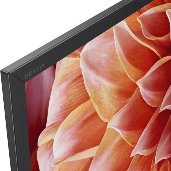 Sony XBR65X900F 4K Ultra HD Smart LED TV review with Alexa features