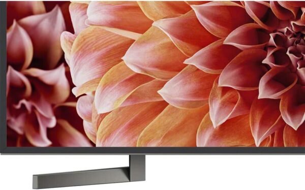 Sony XBR65X900F 4K Ultra HD Smart LED TV review with Alexa features