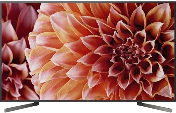 Sony XBR65X900F 4K Ultra HD Smart LED TV review with Alexa features