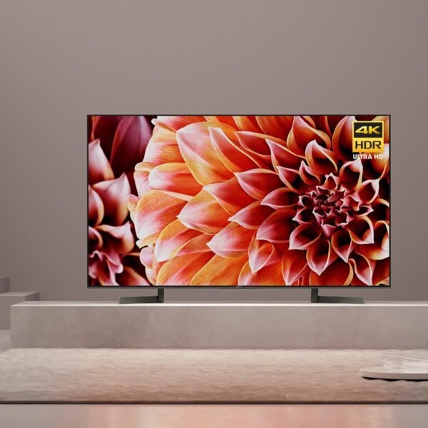 Sony XBR65X900F 4K Ultra HD Smart LED TV review with Alexa features