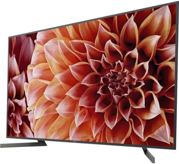 Sony XBR65X900F 4K Ultra HD Smart LED TV review with Alexa features